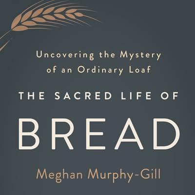 179. Uncovering the Mystery of the Ordinary // Meghan Murphy-Gill
